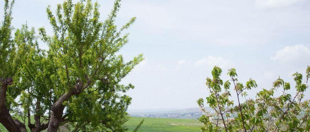 Masseria La Meridiana 알타무라 외부 사진